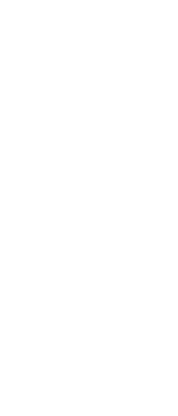 Decorative Shape